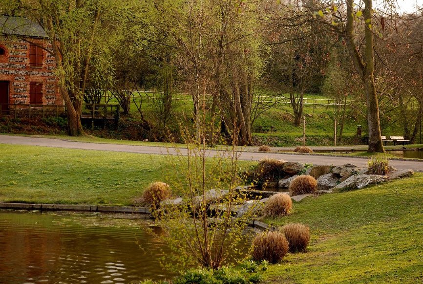 Arboretum du parc de Rouelles, Montivilliers, France, France